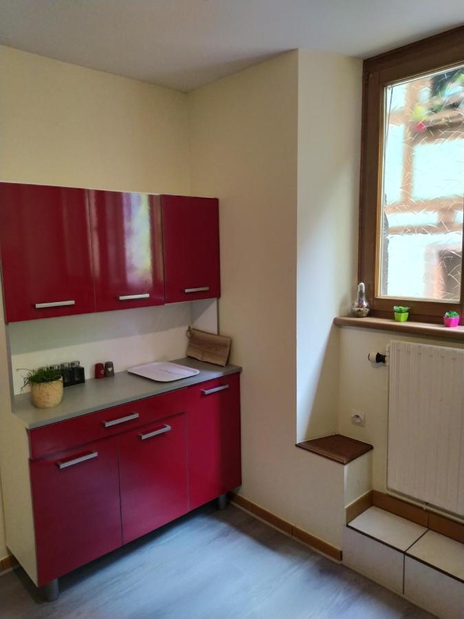 Chey Mybam, Agreable Maison Au Centre De Selestat Villa Dış mekan fotoğraf