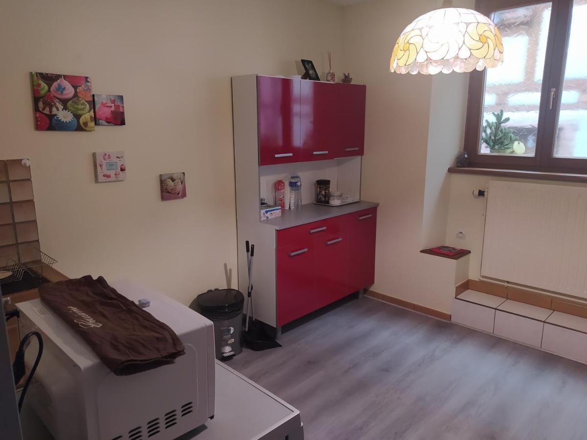 Chey Mybam, Agreable Maison Au Centre De Selestat Villa Dış mekan fotoğraf