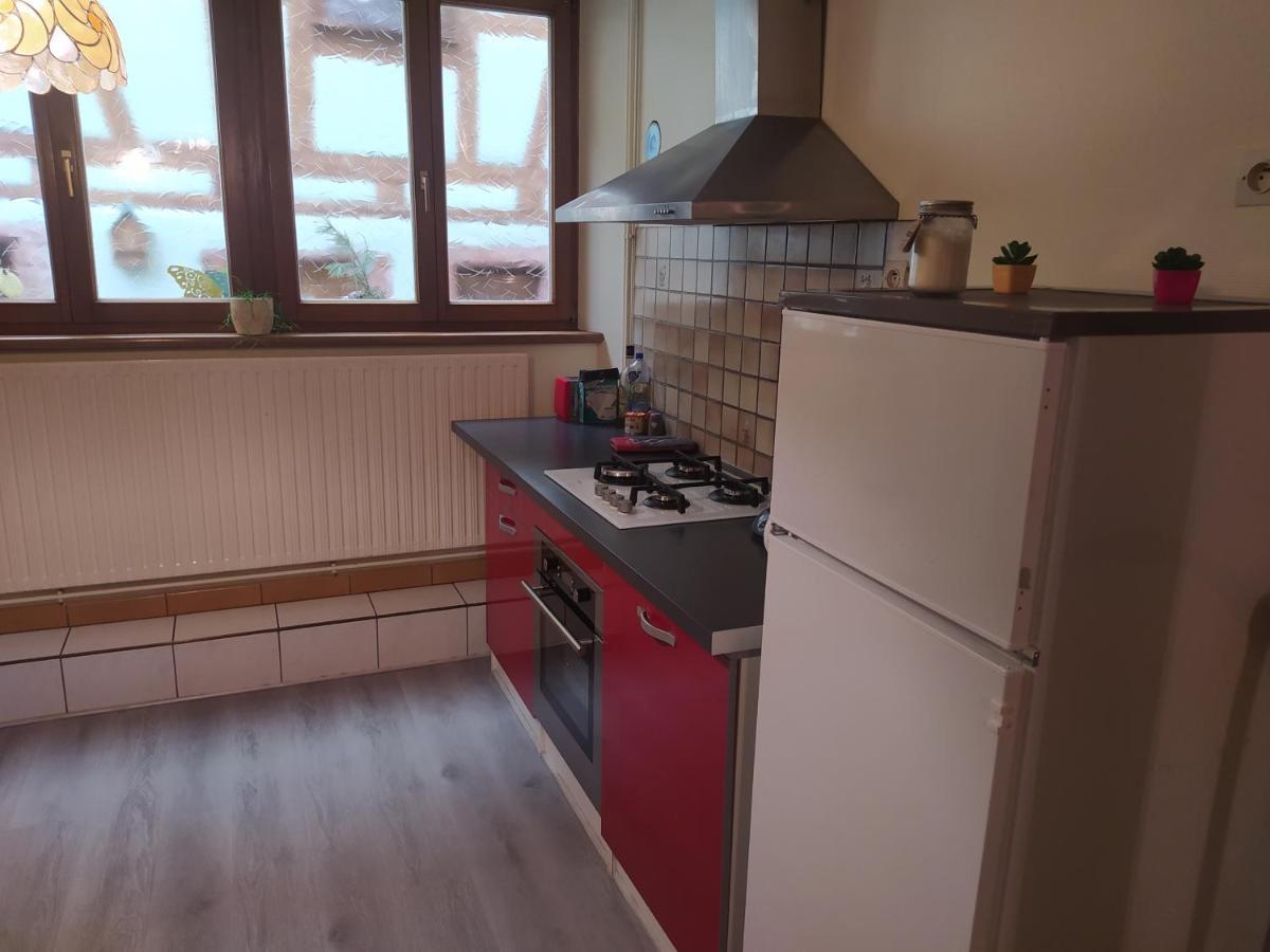Chey Mybam, Agreable Maison Au Centre De Selestat Villa Dış mekan fotoğraf